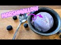 Why Blueberry Ice Cream Should Be Everyone S Favorite