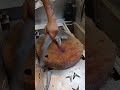 The Most Baby Shark Fish Cutting Skills#shorts