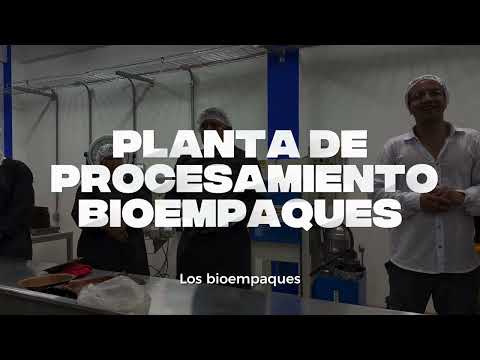 🌿 Puerto Nariño: ejemplo de sostenibilidad, innovación y trabajo colectivo en la Amazonia colombiana