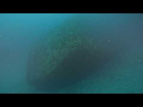 2023-01-29 Miss Opp full reel YT.mp4