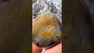 Download lagu Nice little sagenite agate👌#agates #agate #agatehunting #rockhounding #rockhound #beachcombing mp3