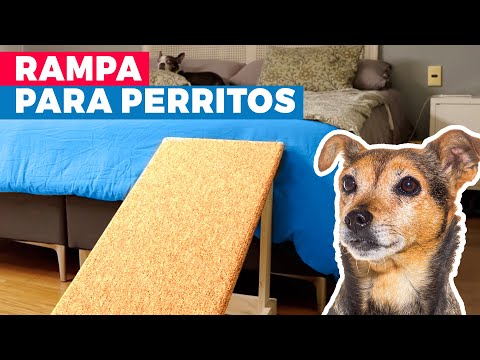 How to Make a Dog Ramp