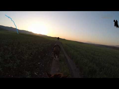 Rozhgar Jazaa - Outdoor horse galloping in Kurdistan captured by GoPro Hero.