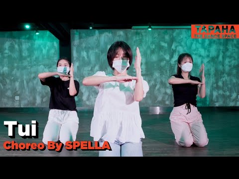 Fkj  -  Tui /Choreo By SPELLA