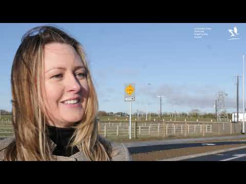 The new Hole in the Wall Road extension in Balgriffin