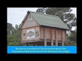 bats emerging from bat house at spirit of the suwannee music park