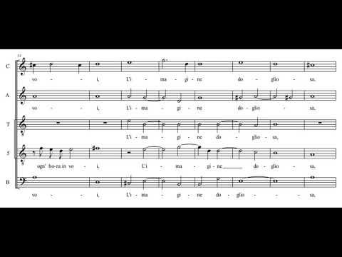 Video thumbnail for Il vago e bell’Armillo