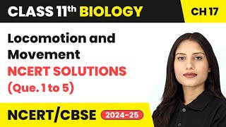 Locomotion and Movement - NCERT Solutions (Q. 1 to 5) | Class 11 Biology Chapter 17 | CBSE 2024-25