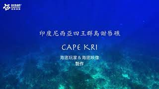 印度尼西亞四王群島 甜唇礁