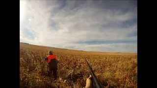 preview picture of video '2013 Winner, South Dakota Pheasant Hunting Trip'