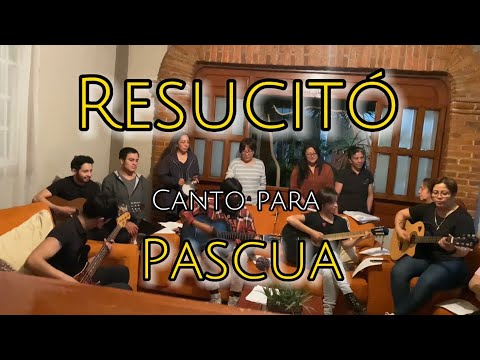 Resucitó, Canto de Entrada o Salida para Domingo de Resurrección y Pascua #m #pascua #resucito