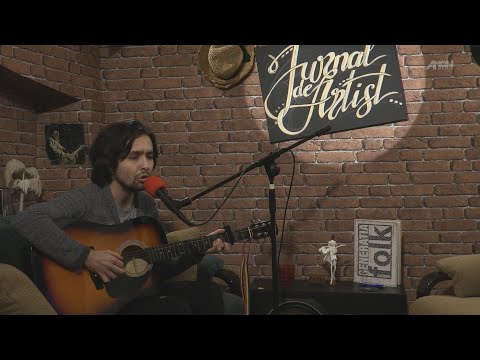 Jurnal de Artist - Andrei Fabian