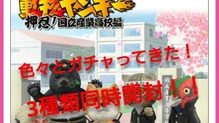 【ガチャ】未開封ガチャ３種を一気に開封！