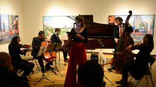 The Colonials   SWOON Swoon