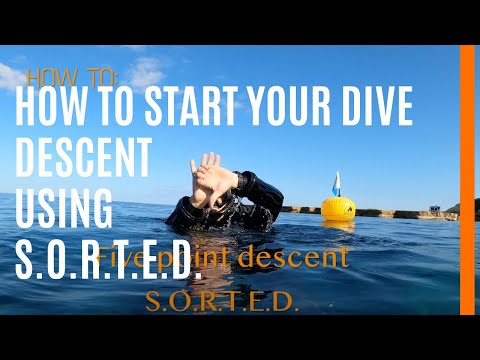 How to Start your dive descent using S.O.R.T.E.D.