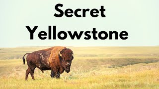 15 ways to escape the crowds in Yellowstone!