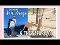 Exploring San Diego The Safari Zoo