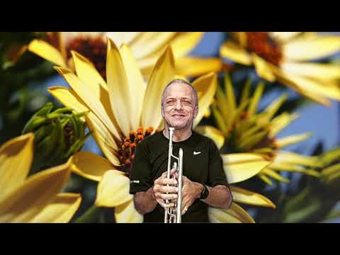 EXALTAÇÃO AO DEUS ONIPOTENTE - HINO 252.