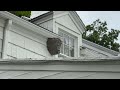 Hornets Nest Close to 2nd Floor Bedroom in Princeton Junction, NJ