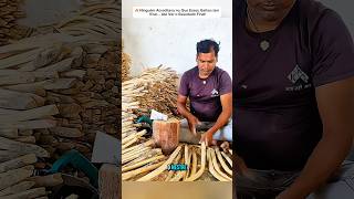 Inacreditável !#curiosidades #educação #shorts #teste #foryourpage