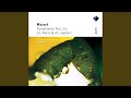 Symphony No. 25 in G Minor, K. 183: I. Allegro con brio