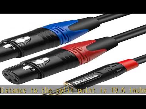 Disino Dual Female XLR to 1/4 inch(6.35mm) TRS Stereo Male Plug Y-Splitter Cable, Unbalanced 2-XLR