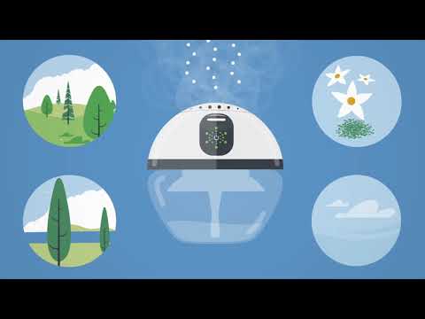 proWIN Airbowl - Luftreinigungsgerät // Gib mir die Kugel zur sauberen Luft!