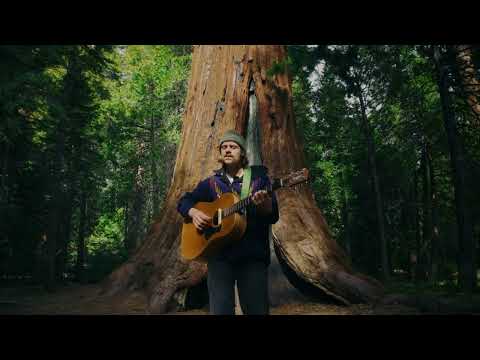 Tay Oskee - Sequoia (Lovers On The Mountain) | Live from the Sequoias
