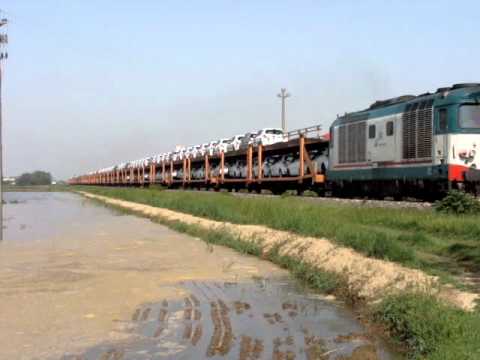 D445.1070 Chignolone !!!