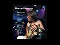 Sharon Shannon feat. Dessie O'Halloran - Say You Love Me [Audio Stream]