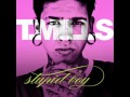 T. Mills-Stupid Boy (Official Song) Lyrics 