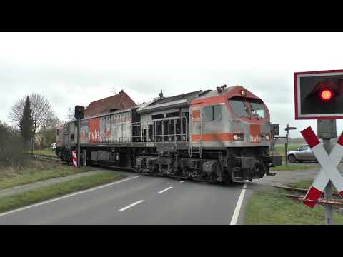 Drögennindorf/ Bispingen  21.11.2020