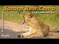 Satara Rest Camp Review Kruger National Park