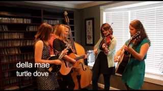 Backyard Bluegrass Sessions: Della Mae