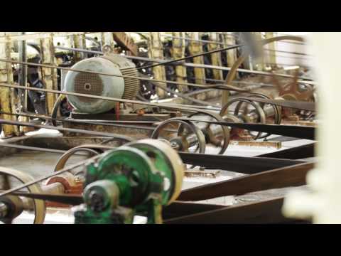 download lagu mp3 mp4 Mustard Oil Online Order, download lagu Mustard Oil Online Order gratis, unduh video klip Mustard Oil Online Order