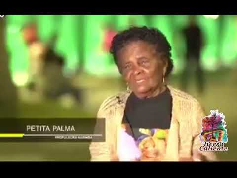 Aqui Nací - Grupo Tierra Caliente - Petita Palma