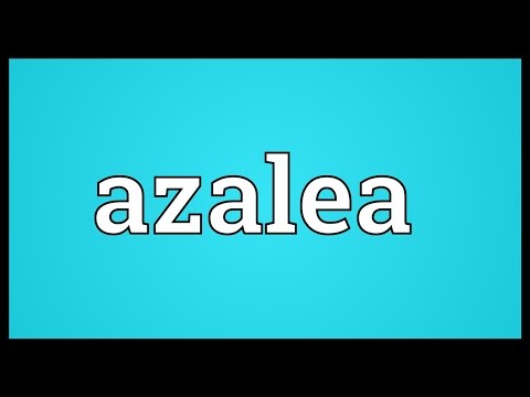 Azalea Meaning