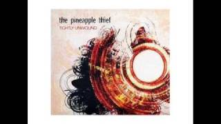The Pineapple Theif - "And So Say All of You"
