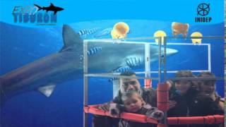 DIA 2 Expo Tiburon247