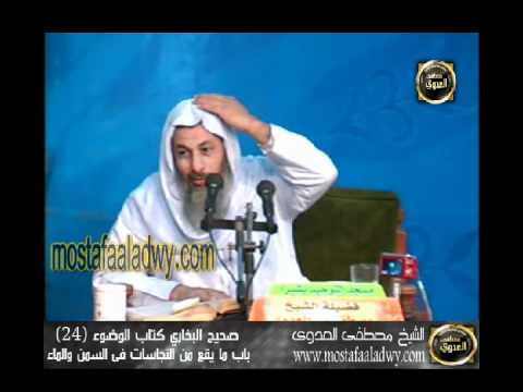  شرح صحيح البخارى   كتاب الوضوء 24 