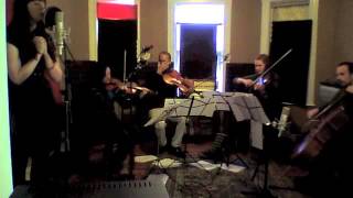 Animal Collective - Mercury Man STRING QUARTET Cover Mary Bichner &amp; Triple Strung