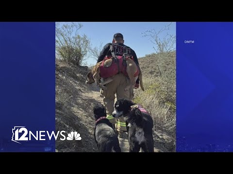 2 dogs rescued after being lost in the desert for 4 days