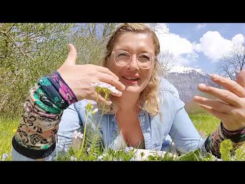 Message from the dragonfly – fitting for the spirit of the times... an encounter with nature.