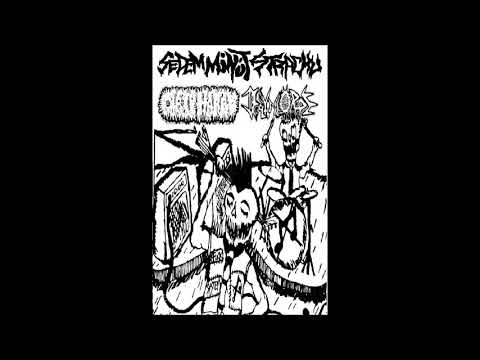 Dirty Harry Side Split Sedem Minut Strachu / Decayin Corpse 2019 (Noisegrind / Noisecore)