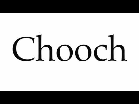 How to Pronounce Chooch