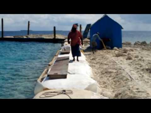 Elcorock coastal erosion and shoreline protection