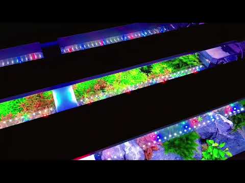 Watch Video on YouTube