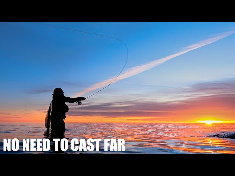 The more I understand sea trout fishing, the shorter I cast