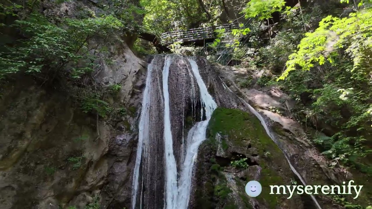 Maximize Your Meditation Practice with a Streak Feature App