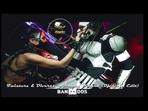 Twisterz & Diverts    Honky Wizard Dj dzeju Edit